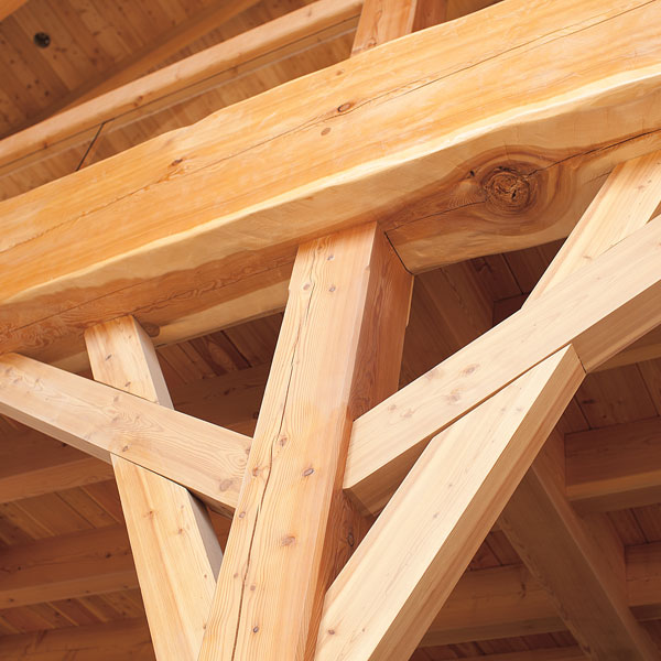 Kyla Brown Photography